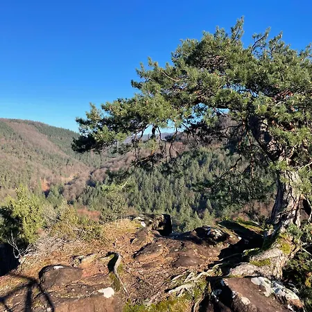 La Cerise Sur Le Gateau * Volmunster