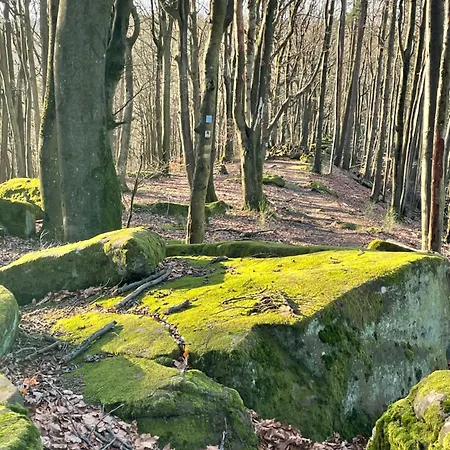 La Cerise Sur Le Gateau Apartamento