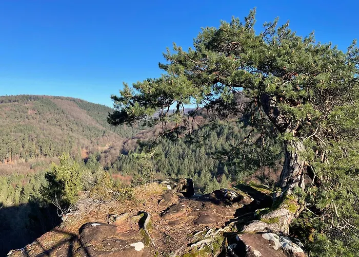 La Cerise Sur Le Gateau * Volmunster