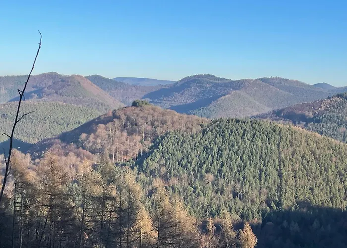 Apartment La Cerise Sur Le Gateau *