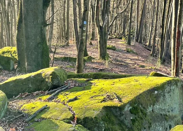 La Cerise Sur Le Gateau Apartment